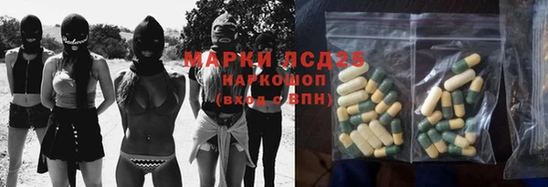 ПСИЛОЦИБИНОВЫЕ ГРИБЫ Алексин