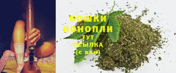 PSILOCYBIN Абдулино