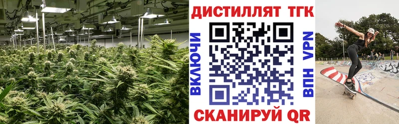 купить наркотики цена  дарк нет телеграм  ТГК концентрат  Киров 
